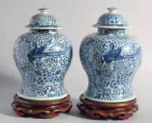 A PAIR OF CHINESE BLUE AND WHITE PORCELAIN JARS AND COVERS on hardwood stands, Kangxi period, each