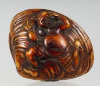 A JAPANESE CARVED WOODEN NETSUKE, in the shape of a shell with figural carving. 5cm wide