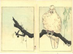 SEITEI WATANABE (1852-1918); FROM THE SERIES OF SEITEI'S ALBUM OF BIRDS AND FLOWERS, 1890, two