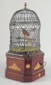 A VERY EARLY 19TH CENTURY SINGLE BIRD BOX, possibly French, with penny in the slot, the bird with
