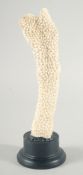 A TALL CORAL SPECIMEN, 8ins on a wooden plinth.