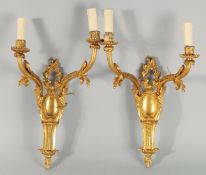 A SMALL PAIR OF LOUIS XVI STYLE GILT METAL THREE LIGHT WALL SCONCES. 16ins long.