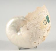 AN ETCHED NAUTILUS SHELL dated 1895. 6ins high.