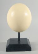 AN OSTRICH EGG SPECIMEN. 5.5ins on a stand.