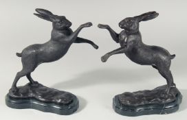A PAIR OF BRONZE BOXING HARES on marble plinths. 11.5ins.