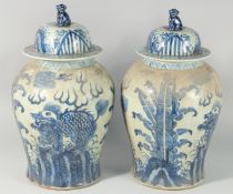 A LARGE PAIR OF CHINESE BLUE AND WHITE TEMPLE VASES. 24ins high.