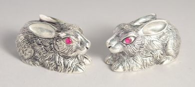 A PAIR OF SILVER PLATED RABBIT SALT AND PEPPERS.