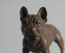 A BRONZE BULL DOG.