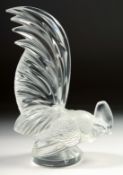 A LALIQUE GLASS COCKEREL CAR MASCOT 