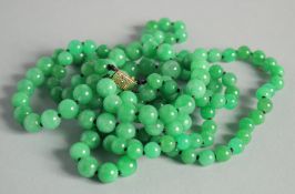 A STRING OF JADE BEADS with gold clasp.