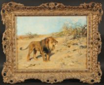 Arthur Wardle (1864-1949) British, Lion in the Savannah, oil on canvas, signed, 12