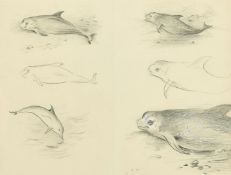 Archibald Thorburn (1860-1935) British, pencil study of porpoises and dolphins, signed with initials
