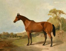 19th Century, A horse standing in a rural landscape, oil on canvas, 22
