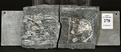 Berenice Goni de Preville (b. 1948) French, 'Traces de Lumiere 3', zinc, stamped with initials, 3.