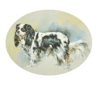 A study of 'Sally', a King Charles Spaniel, watercolour, signed and dated '86, 12