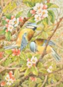 Ella Bruce (20th Century, Bluetits and blossom, watercolour, signed, 9.5