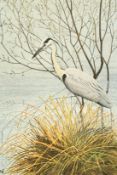 Robert Gillmor, Heron on a riverbank, colour print, numbered 106/200 and signed in pencil, 7.75