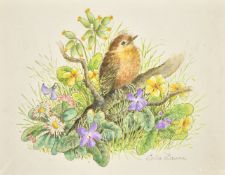 Ella Bruce (20th Century) A fledgling on a branch, watercolour, signed in pencil, 6.75