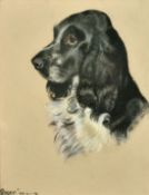 Phyllis Binet, A study 'Roger', a black and white spaniel, pastel, initialed, inscribed and dated