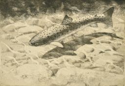 Charles Tunnicliffe, Rainbow Trout, etching, signed in pencil, 6
