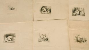 Charles Lewis after Landseer, A folio of etchings of animal subjects, 'The Mothers', set of eight,