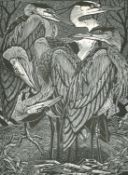 Colin See Paynton (b.1946) British, Four wood engravings, 'Siege of Herons', 'Covert of Coots', '