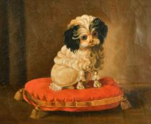Late 19th/Early 20th Century Continental School, a groomed dog sat on a red cushion, oil on