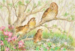 Ella Bruce (20th Century, Fledglings with mother on a branch, watercolour, signed, 7.5