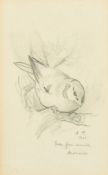 Archibald Thorburn (1860-1935) British, a study of a small bird on a branch, pencil, signed with
