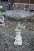 A shell shaped bird bath on associated stand.