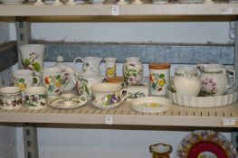 A quantity of Portmeiron botanic garden and similar china.