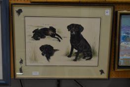 Helen Langley, watercolour sketches of a black labrador.