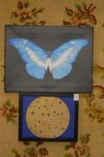In the manner of Damien Hirst, two pictures depicting butterflies.