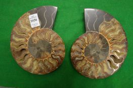 A fossilised ammonite.