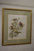 Valerie Allan, Australian parrots, watercolour, signed.