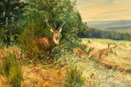Wilhelm (Willi) Lorenz (1901-1981) German, A stag and hinds on the edge of a forest, oil on
