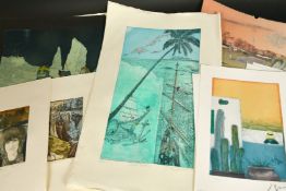 Jochem Roman, A collection of coloured etchings of various subjects, all signed in pencil and