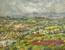20th Century Continental School, a hillside landscape under breaking skies, oil on canvas,