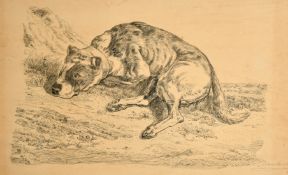 Continental School 19th /20th School, A Mastiff dog resting on a hillside, ink on paper, signed