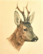 A quantity of reproduction decorative prints, various subjects, (Q).