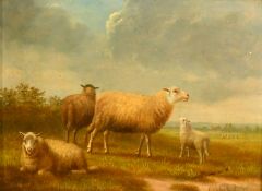 Eugene Verboeckhoven (1798-1881) Belgian, a study of sheep in an open landscape, oil on oak panel,