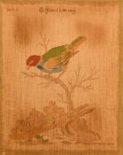 After Johan Michael Seligmann, three 19th Century watercolours on silk of exotic birds after the