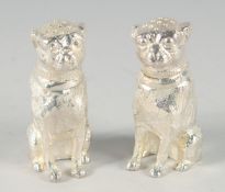 A SMALL PAIR OF SILVER PLATED DOG SALT AND PEPPERS. 2.5ins high.
