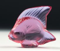 A LALIQUE NEODYMIUM GLASS FISH.