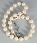 A PEARL NECKLACE. 14ins long.