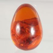 AN AMBER EGG.