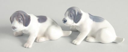 A SMALL PAIR OF COPENHAGEN PORCELAIN PUPPIES. No. 1311, 3.25ins long.