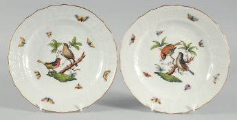 A GOOD PAIR OF HEREND PORCELAIN PLATES painted with birds and insects. 8.5ins diameter.