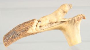 A SUPERB 19TH CENTURY CONTINENTAL CARVED HORN WALKING STICK, handle carved with a dog.