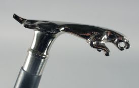 A NOVELTY JAGUAR WALKING STICK.